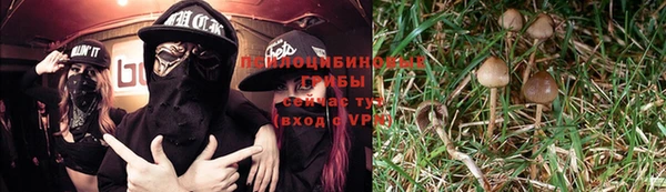 альфа пвп Ладушкин