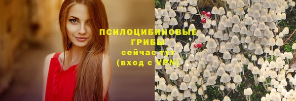 MESCALINE Лабытнанги