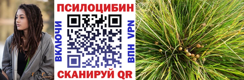 Псилоцибиновые грибы мухоморы  Моршанск 