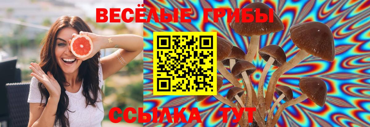 Галлюциногенные грибы MAGIC MUSHROOMS  Вход с VPN  Псилоцибиновые грибы мухоморы  Моршанск 